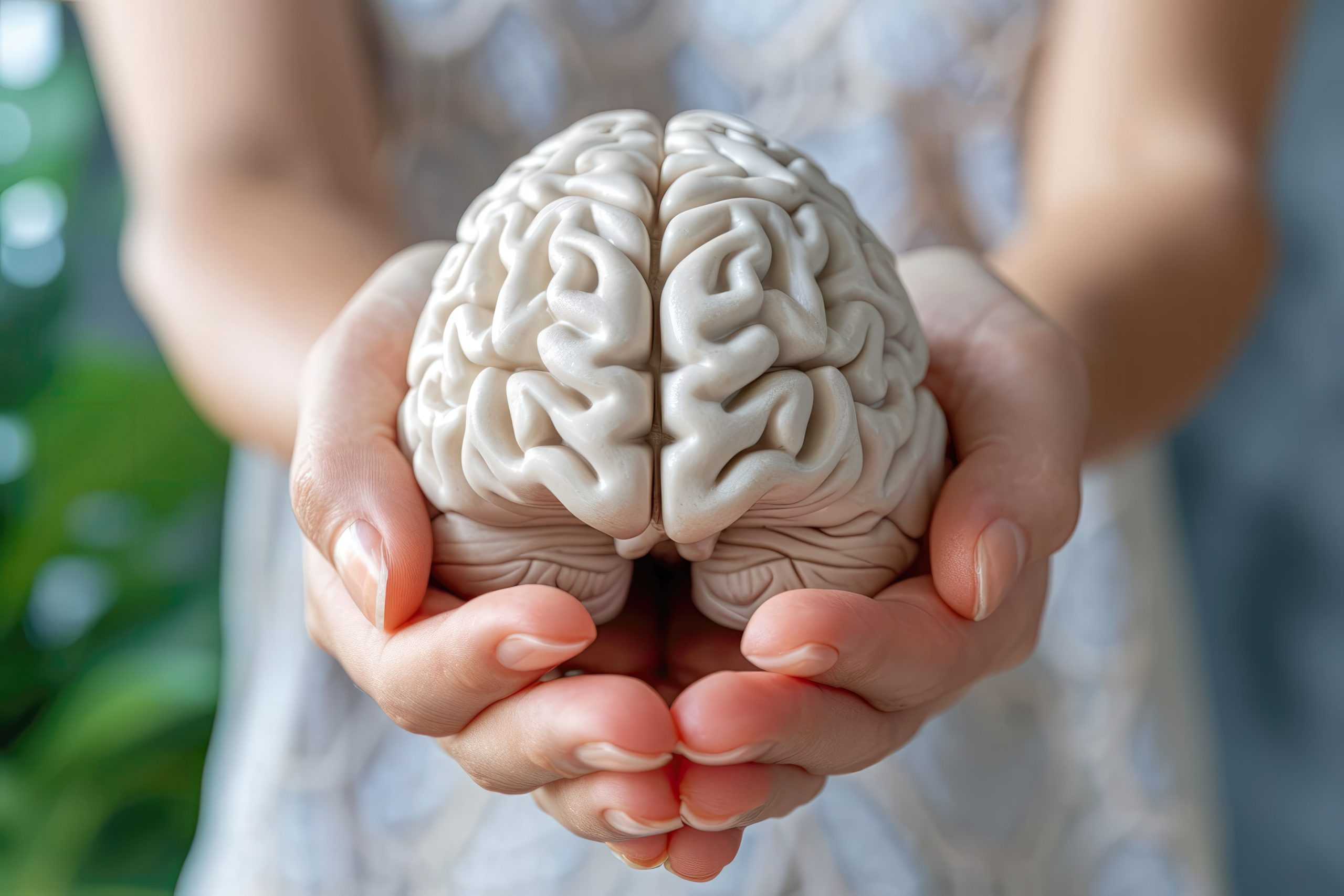 clearconvert 1301wf17bo12055024nl